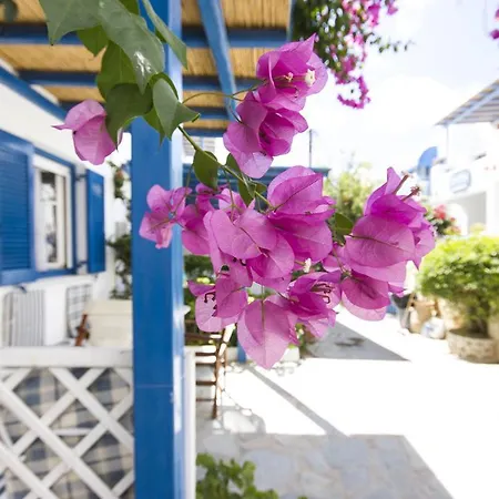 George's Paros Apart-hotel