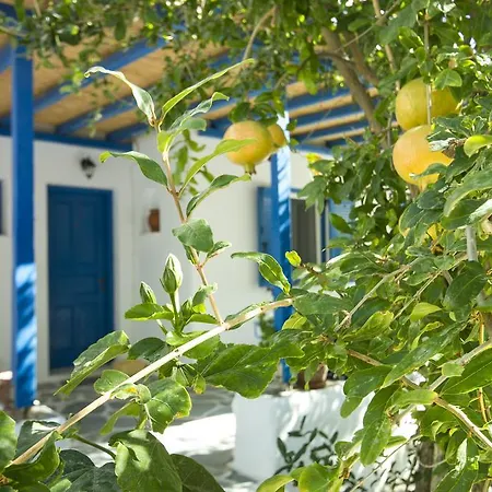 George's Paros 4* Alikí